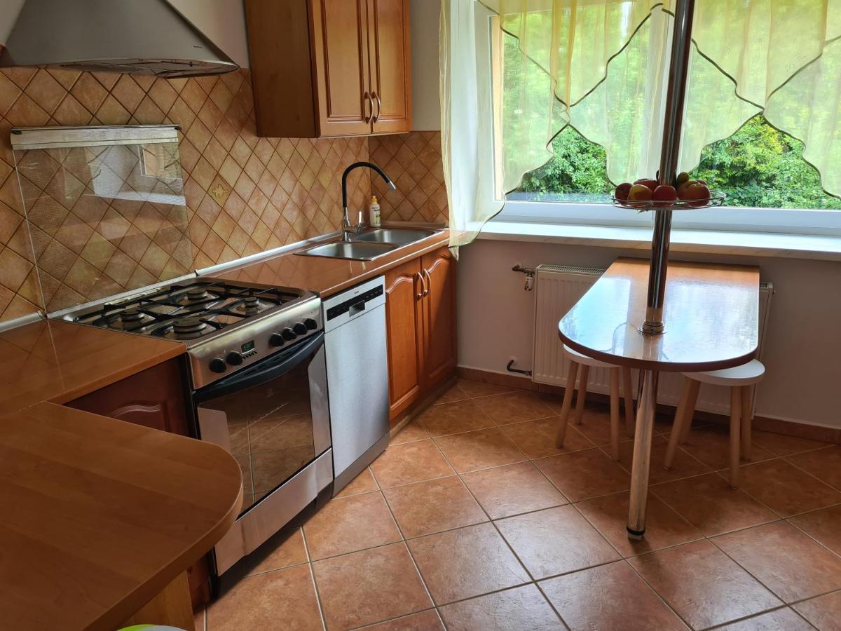 Apartament Pod Wieza Sky Walk Świeradów-Zdrój エクステリア 写真