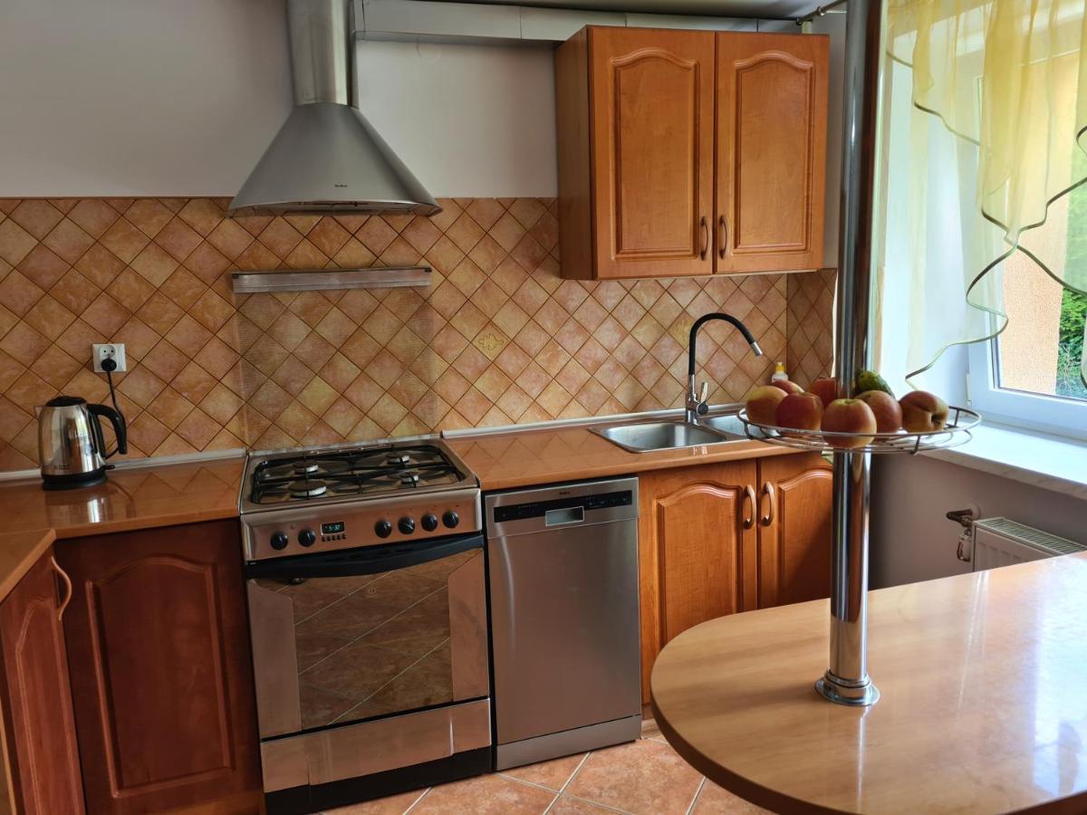 Apartament Pod Wieza Sky Walk Świeradów-Zdrój エクステリア 写真
